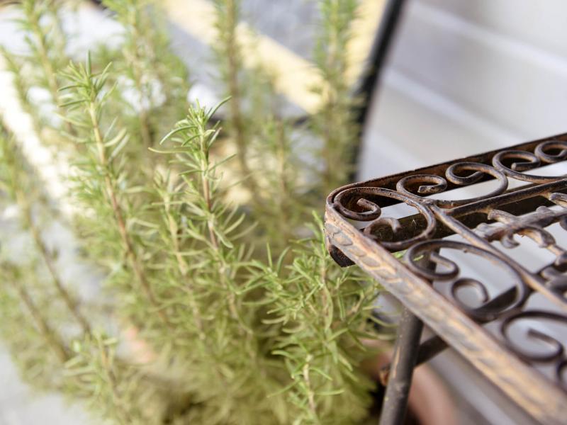 Vilmas Pasta Ambiente 05 web tiny