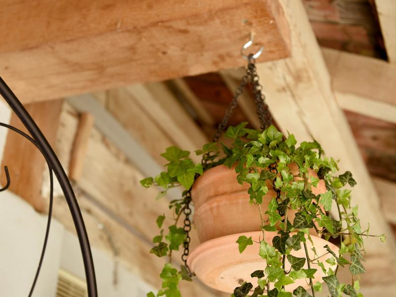 Vilmas Pasta Ambiente 07 web tiny