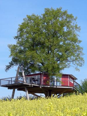 Vilmas Pasta baumhaus116